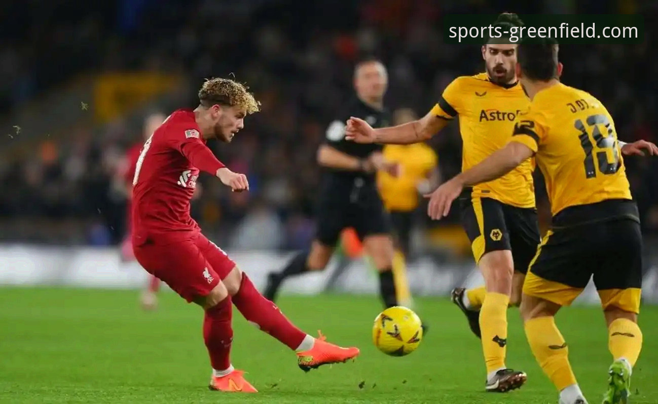 资深用户分享：如何通过专业平台深度复盘利物浦的足总杯晋级之路